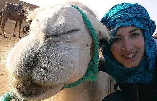 4 Days From Fez To Marrakech Desert Tour