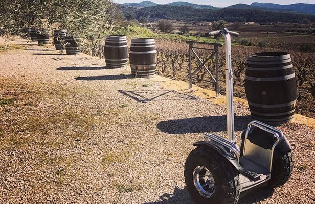 Vineyard visit in Gyropode, visit of Cave & Tasting Wines of Bandol