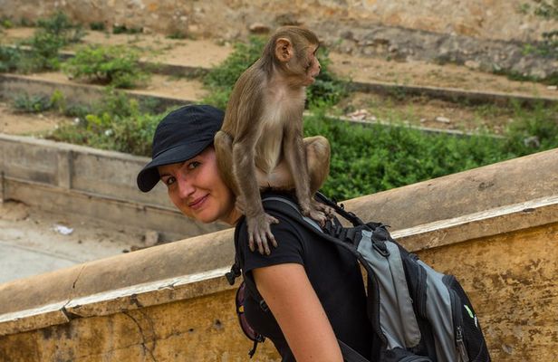Jaipur Temples and Spiritual Sites Private Tour