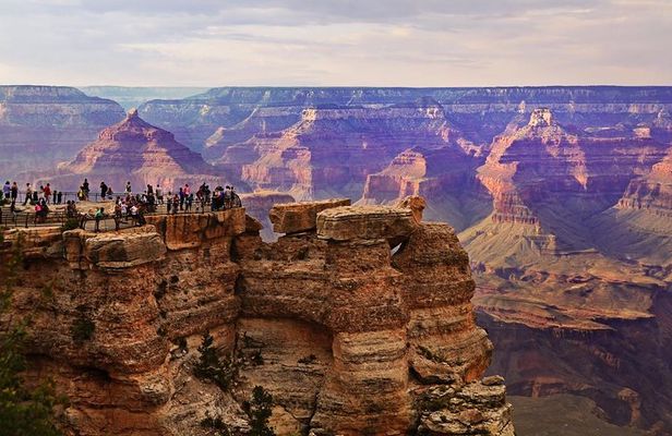Grand Canyon National Park South Rim Small Group Bus Tour