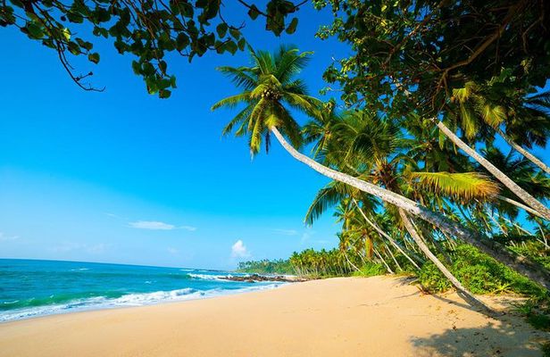 Sri Lanka tours package in 9 Days (Amazing Sri Lanka)