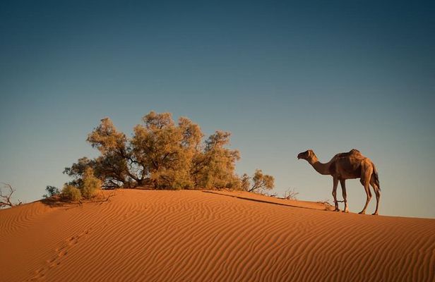 4 Days Merzouga Desert from Marrakech