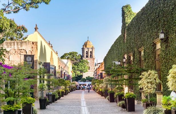 Full-Day Tequila, Jalisco from Puerto Vallarta with Tequila Experience