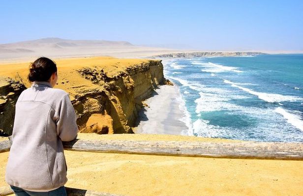 Ballestas Islands and Paracas National Reserve Day Trip from Paracas