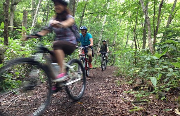 Mountain Bike Tour from Sapporo Including Hoheikyo Onsen and Lunch