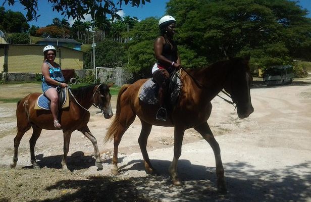 Horseback Riding Dunn's River Falls Adventure from Montego Bay 