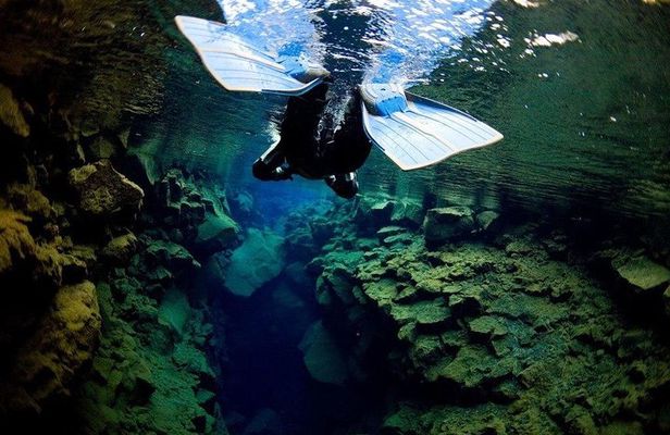 SuperSaver: Small Group Golden Circle Tour + Silfra Snorkeling