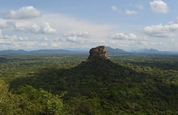 A Full-day Sigiriya and Dambulla Private Tour.