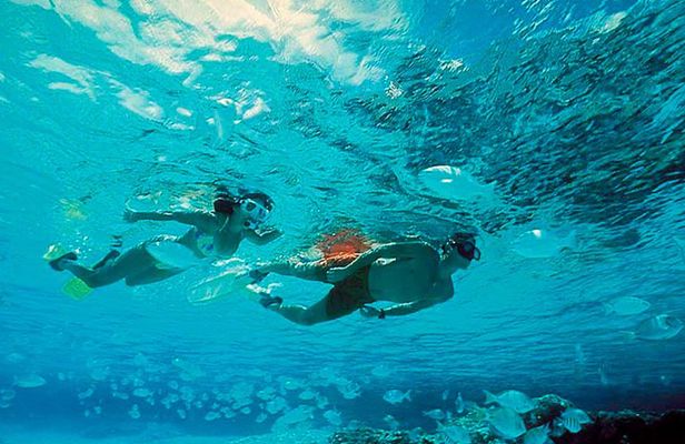 Exclusive Isla Mujeres Tour in Catamaran! Sailing from Cancun