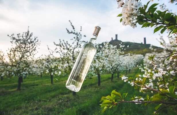 A delightful wine tasting in the scenic countryside with lunch
