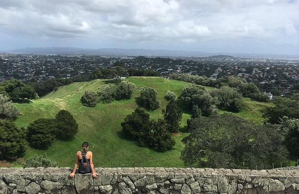 Shore Excursion: Half-Day Auckland Volcanoes Tour