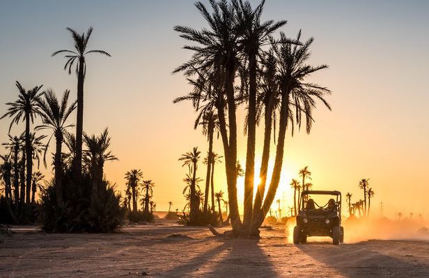 Marrakech Desert Buggy Tour Including Berber Tea Break and transfer