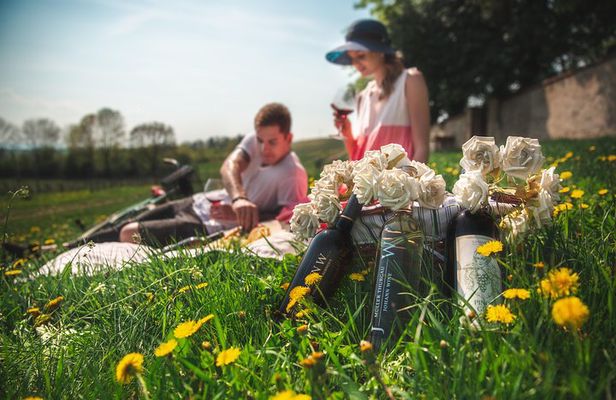 Private PICNIC in Bohemian Vineyards and Wine Tasting 4WD Tour