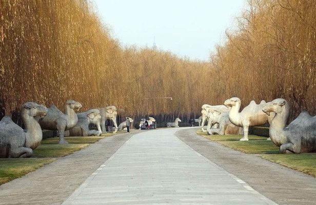 All Inclusive Private Beijing Tour: Ming Tombs, Sacred Way and Summer Palace