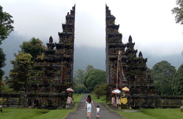Private Tour: Handara Iconic Gate, rice terrace & Ulundanu Temple