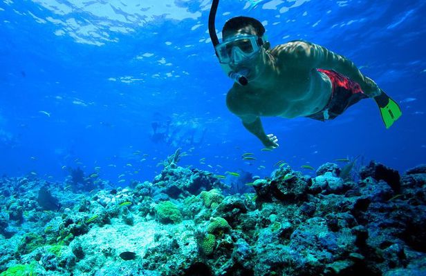 San Juan | Paddleboard | Kayak | Snorkeling | Guided Tours