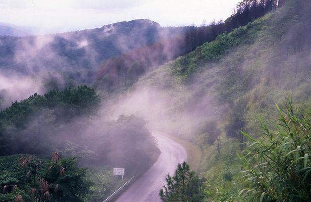 Doi Tung & Royal Villa Guided Cultural Tour