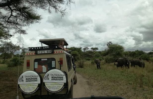 3 Days Safari to Tarangire, Ngorongoro & Lake Manyara parks