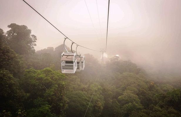 Monteverde Sky Tram & Hanging Bridges Cloud Forest Tour from San Jose