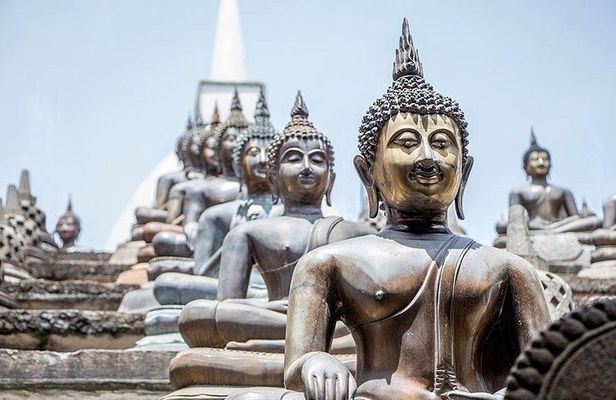 Negombo to Colombo: Hamilton Canal Boat Ride & City Tour