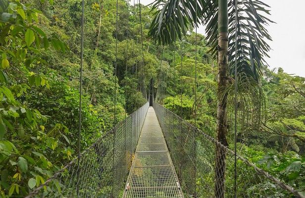 10 Days Essential Costa Rica - Package with Guanacaste from San Jose