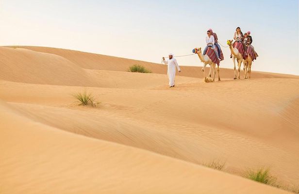 Premium Red Dunes Safari and Camel Safari with BBQ Dinner