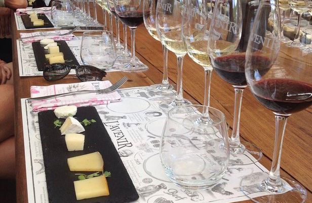 Daily Different small group WINE tour - STELLENBOSCH PICKUP only