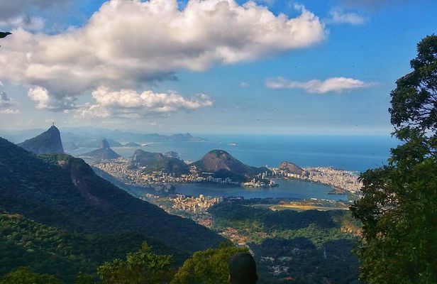 Tijuca Forest Trail Running Tour