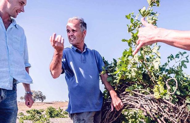 Santorini Family Farm Food & Wine Tour with Cooking Class