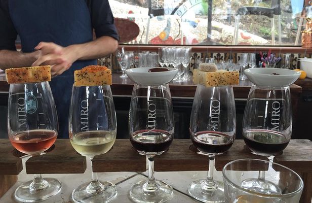 Wine on Waiheke scenic PREMIUM wine tasting. 11 clients only !