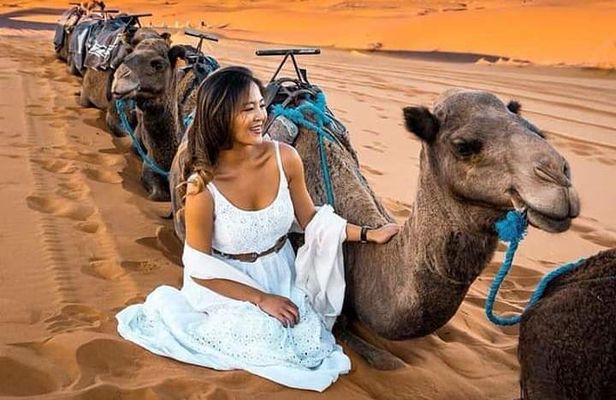 Luxury Overnight From Fez To Merzouga