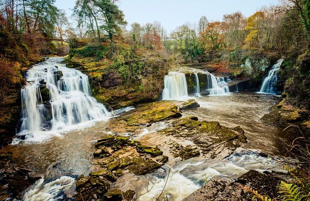 Hike World Heritage Reserve Waterfalls