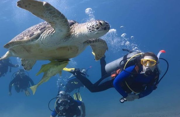 Hurghada Diving