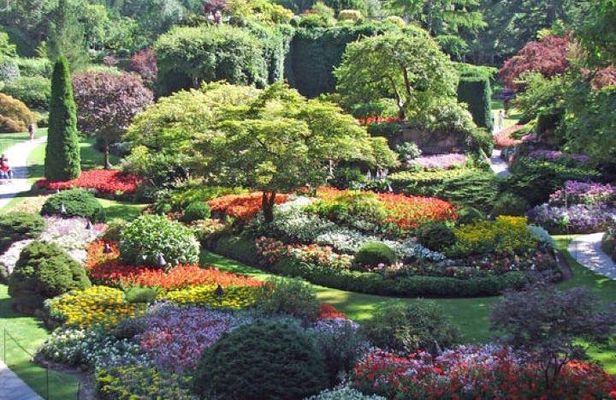Butchart Gardens and City Tour