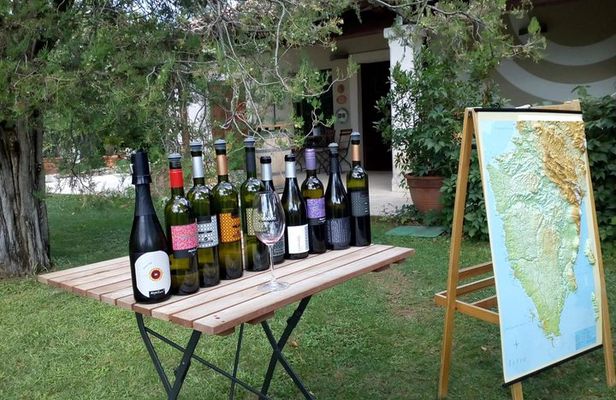 A Sample Of Wine, A Sample Of Istria - A Short But Fulfilled Program