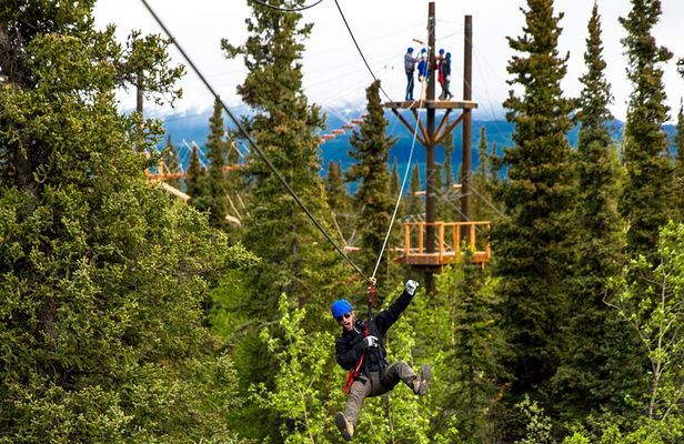 Denali Park Zipline Adventure