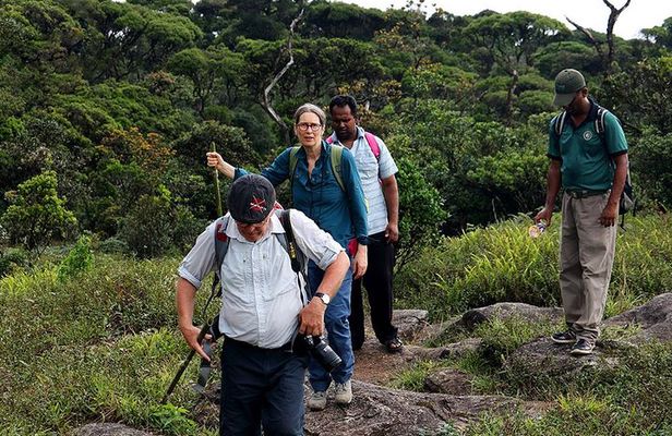 6-Day Central Highlands UNESCO World Heritage Adventure Tour