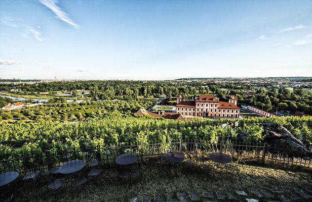 Prague´s Hidden Vineyards Private Tour