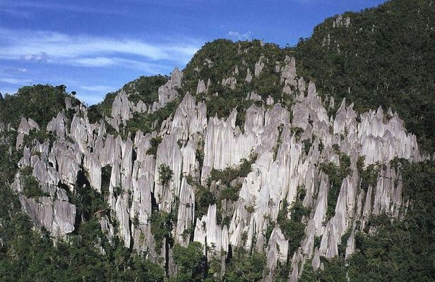 4 Days 3 Nights Mulu 4 Showcaves with Pinnacles 