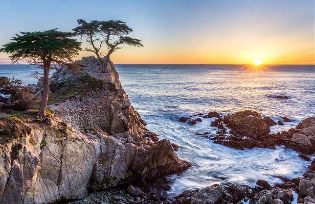 Full Day Tour from San Francisco