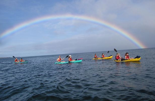 Waterfall Hike and Kayak Snorkel & Paddle from Makena