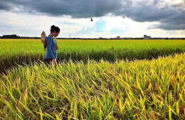Paddy Field, Fishing And Fireflies Tour