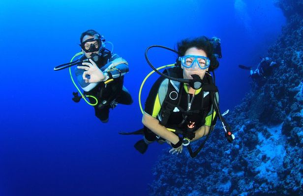 Diving for Certified Divers, 2 Tanks Sosúa Bay