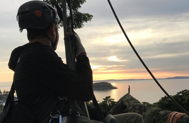 Sunset Canopy Climb on Lopez Island