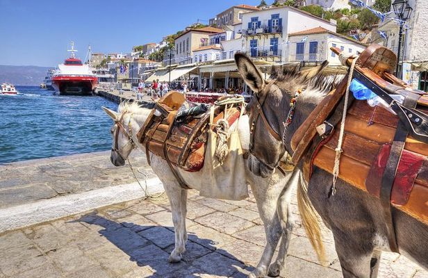 Hydra Private Day Trip by Ferry from Athens with Transfers