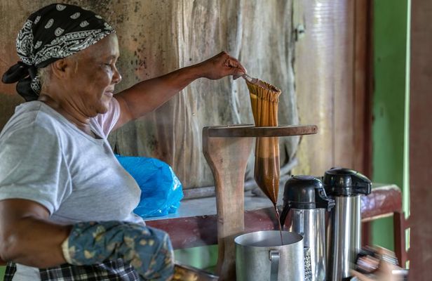Puerto Plata : Dominican Day Life + Waterfalls of Damajagua (SAFARI FULL DAY)