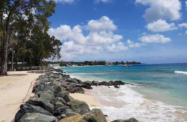Barbados Half Day Coastal Sightseeing Private Tour