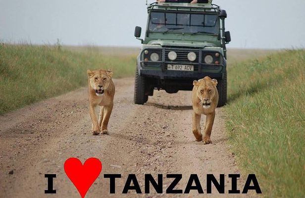 6- Day Adventure Lodge safari to see Migration