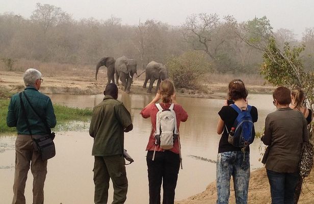 3 Days Grassroots Safari To Mole