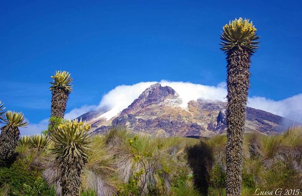 Trekking at Los Nevados National Natural Park